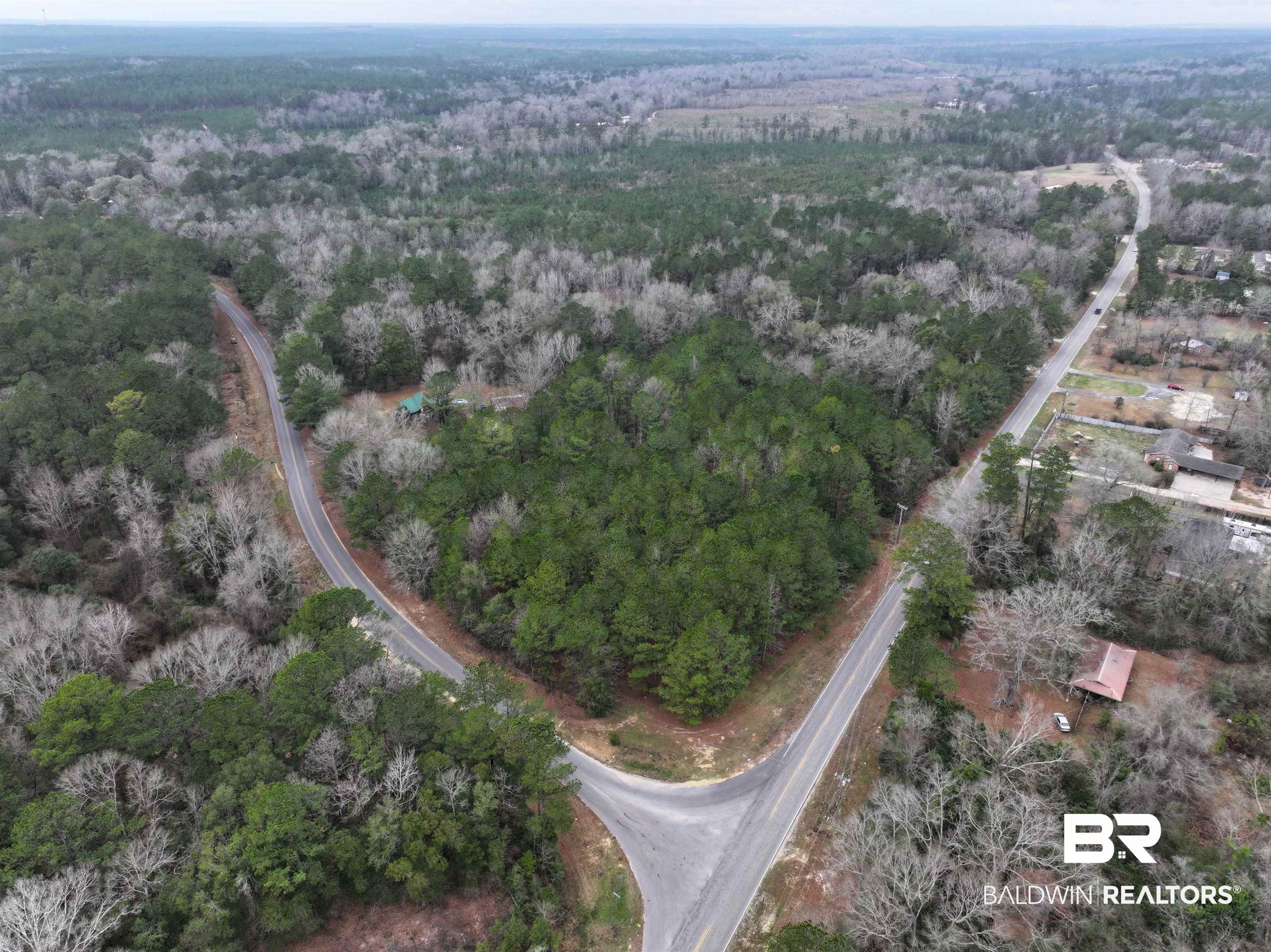2451 Tippens Eddy Road Brewton, AL 36426 - Photo 1 of 4 Bird's eye view