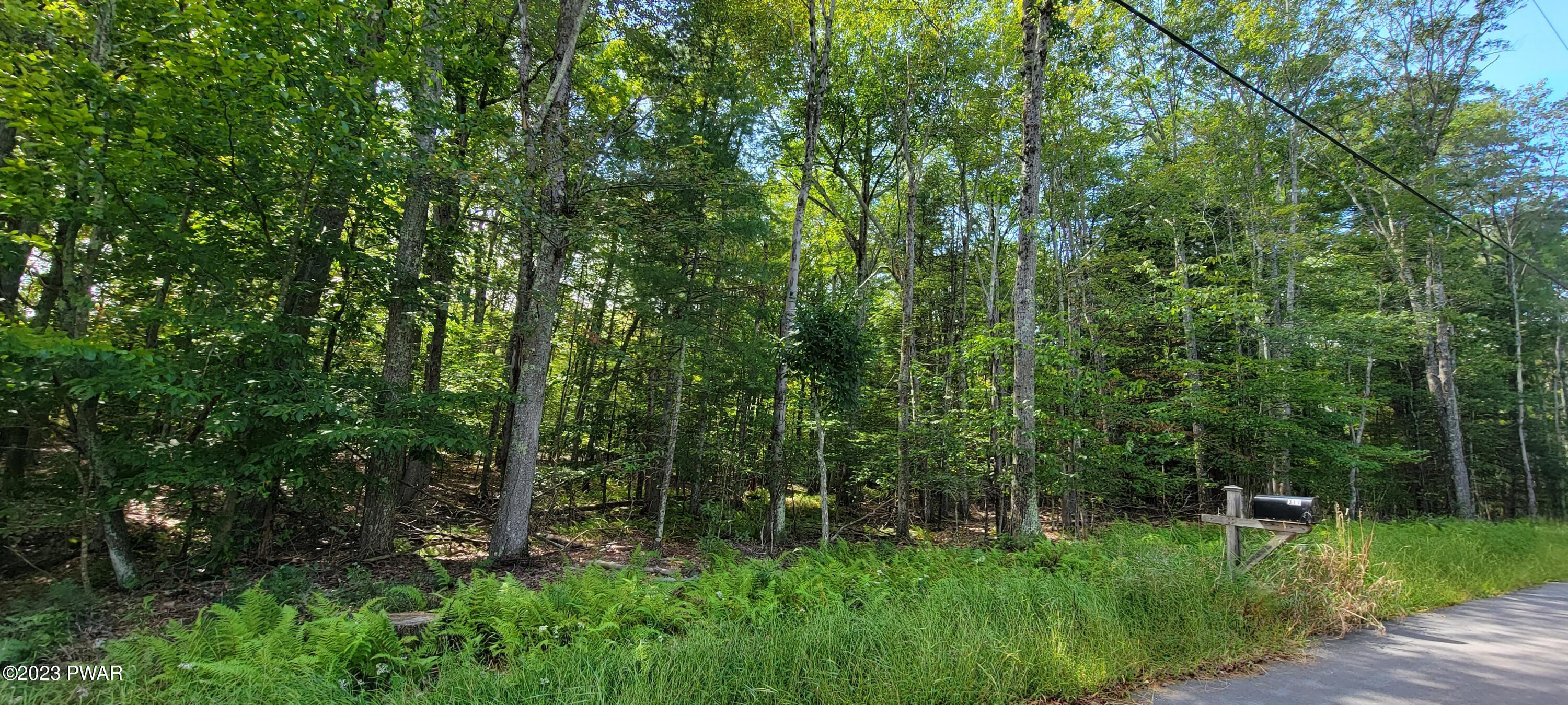 Lot #21 Mohn Road Narrowsburg, NY 12764 - Photo 5 of 9