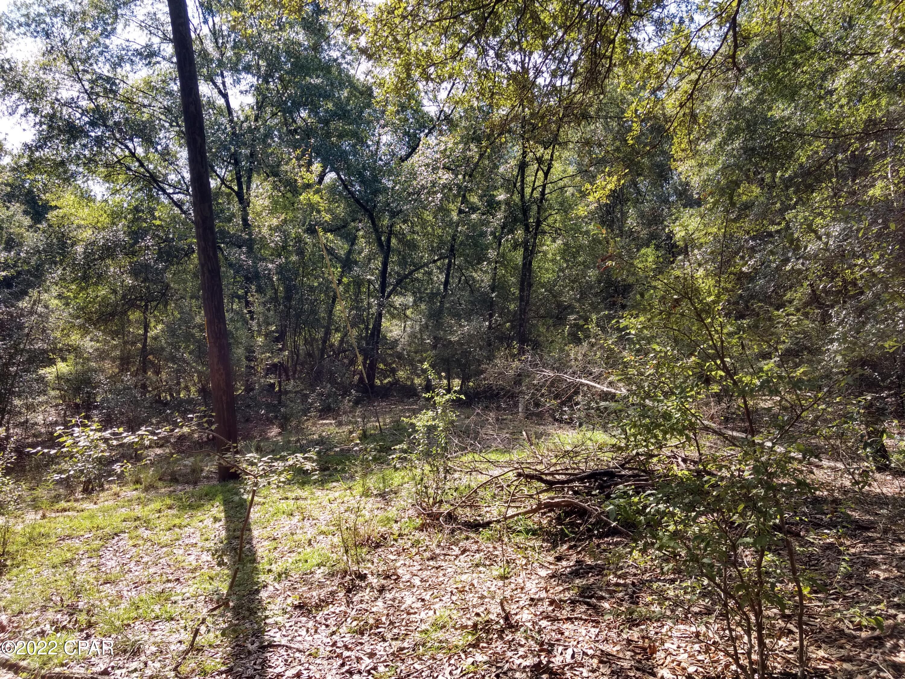 2855 Dauphin Road Bonifay, FL 32425 - Photo 8 of 9