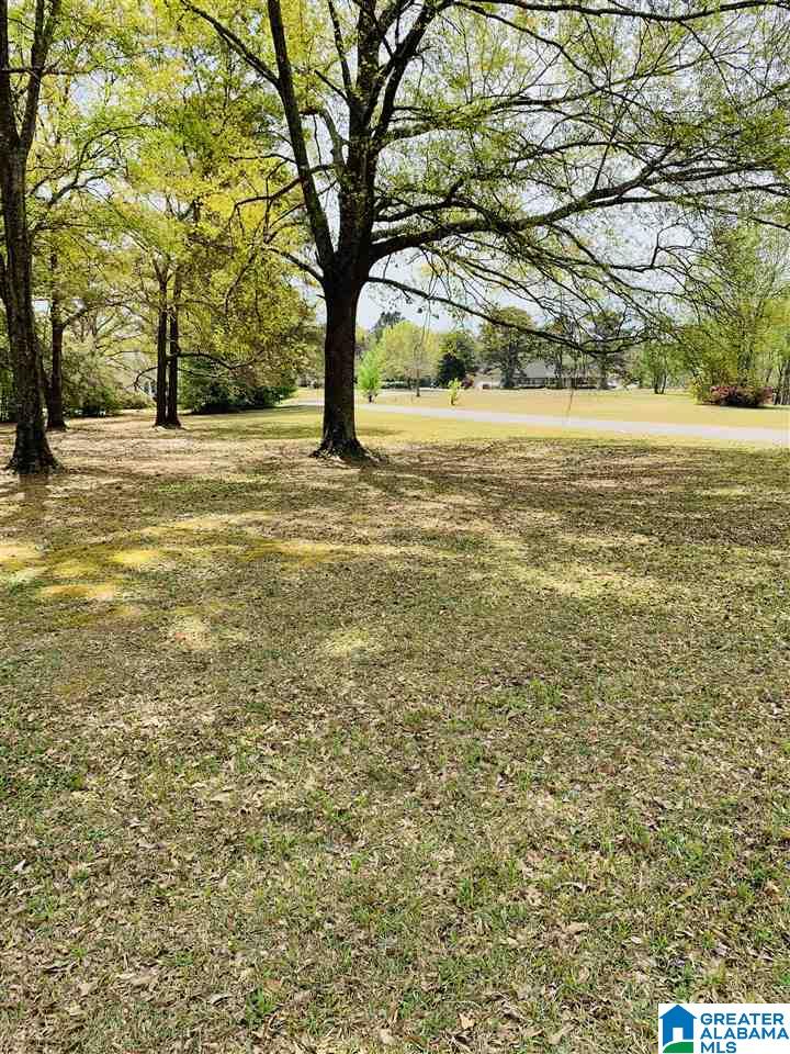 0 Carleton Point, Unit 10 Wilsonville, AL 35186 - Photo 8 of 14