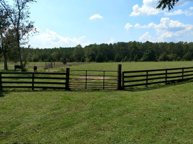 1002 Poland Road Lincolnton, GA 30817 - Photo 2 of 41 Gallery Image 2