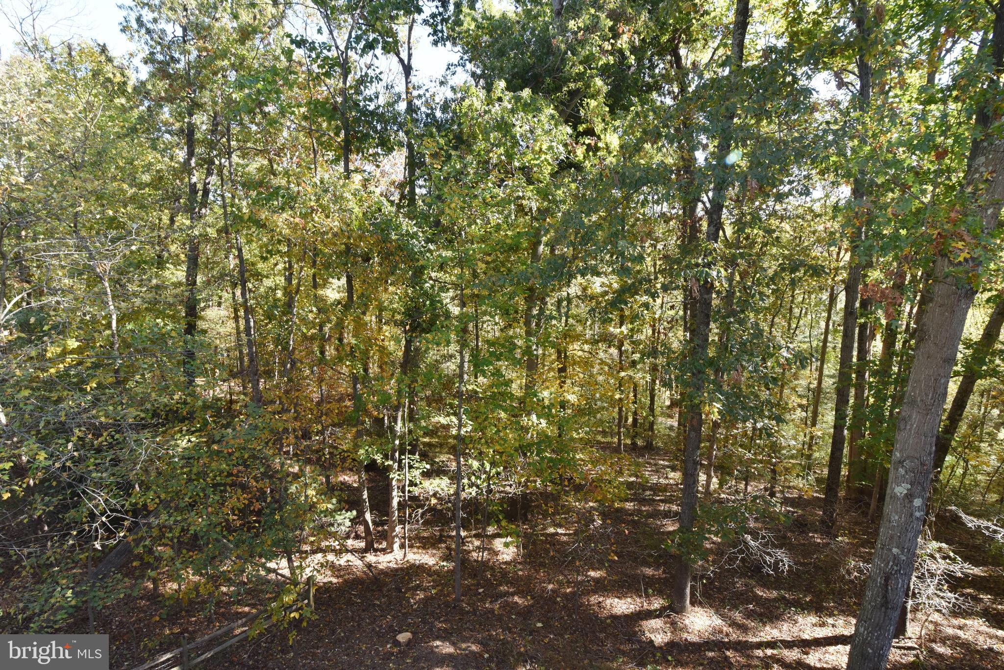 11117 Glade Drive Reston, VA 20191 - Photo 48 of 75 A view of the trees from the primary BR balcony.