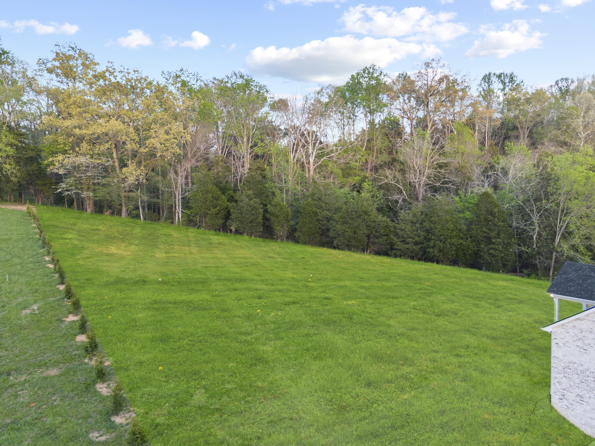4751 Abednego Road Greenbrier, TN 37073 - Photo 52 of 55