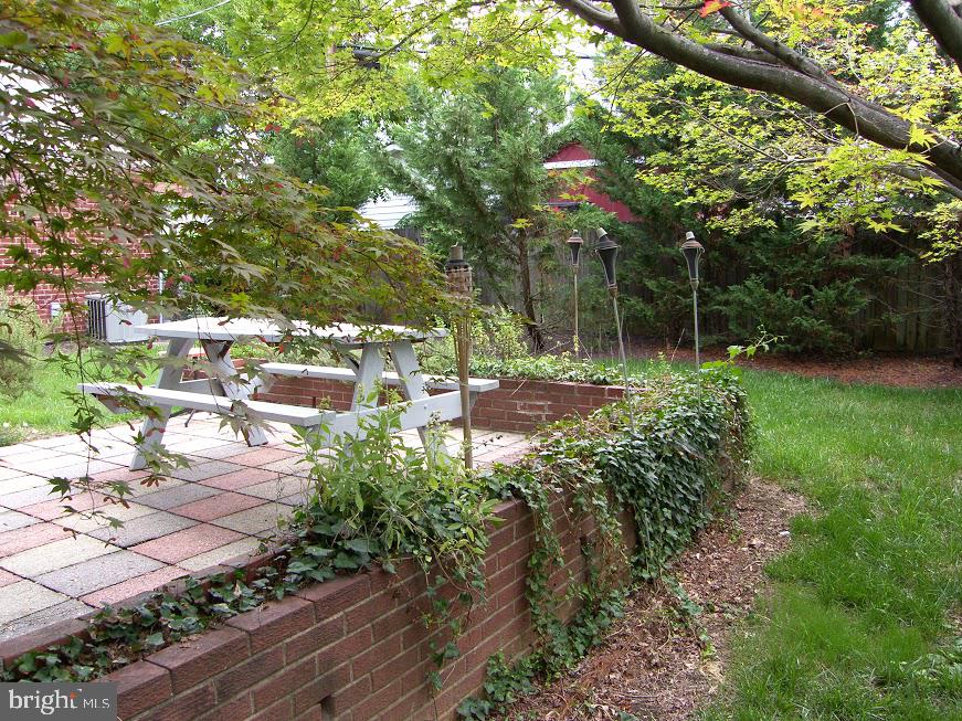 5919 Williamsburg Road Alexandria, VA 22303 - Photo 14 of 40 Side Yard