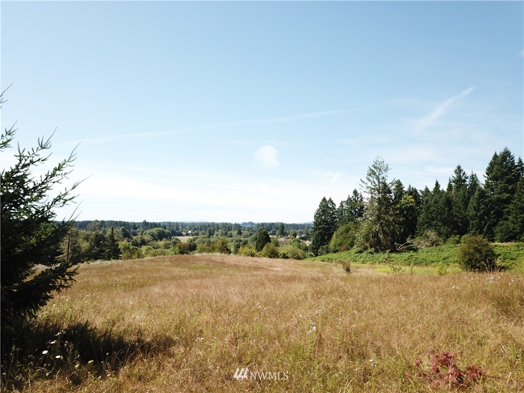 229 Taylor Road South Chehalis, WA 98532 - Photo 1 of 16 a view of a field with an ocean