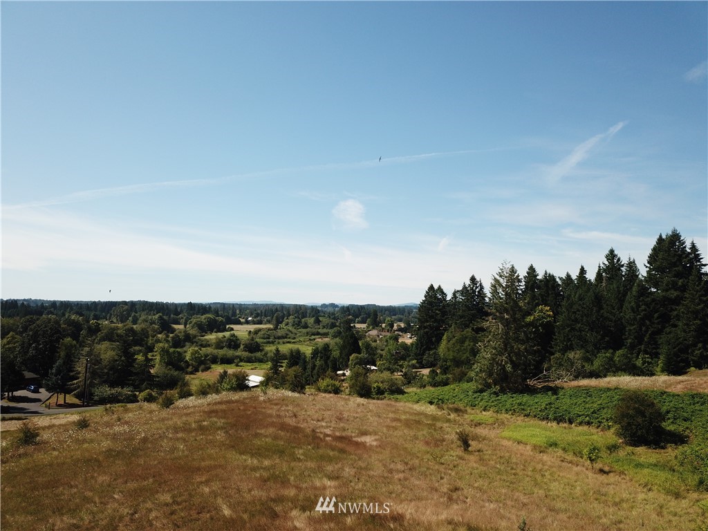 229 Taylor Road South Chehalis, WA 98532 - Photo 2 of 16 a view of a field with trees in background