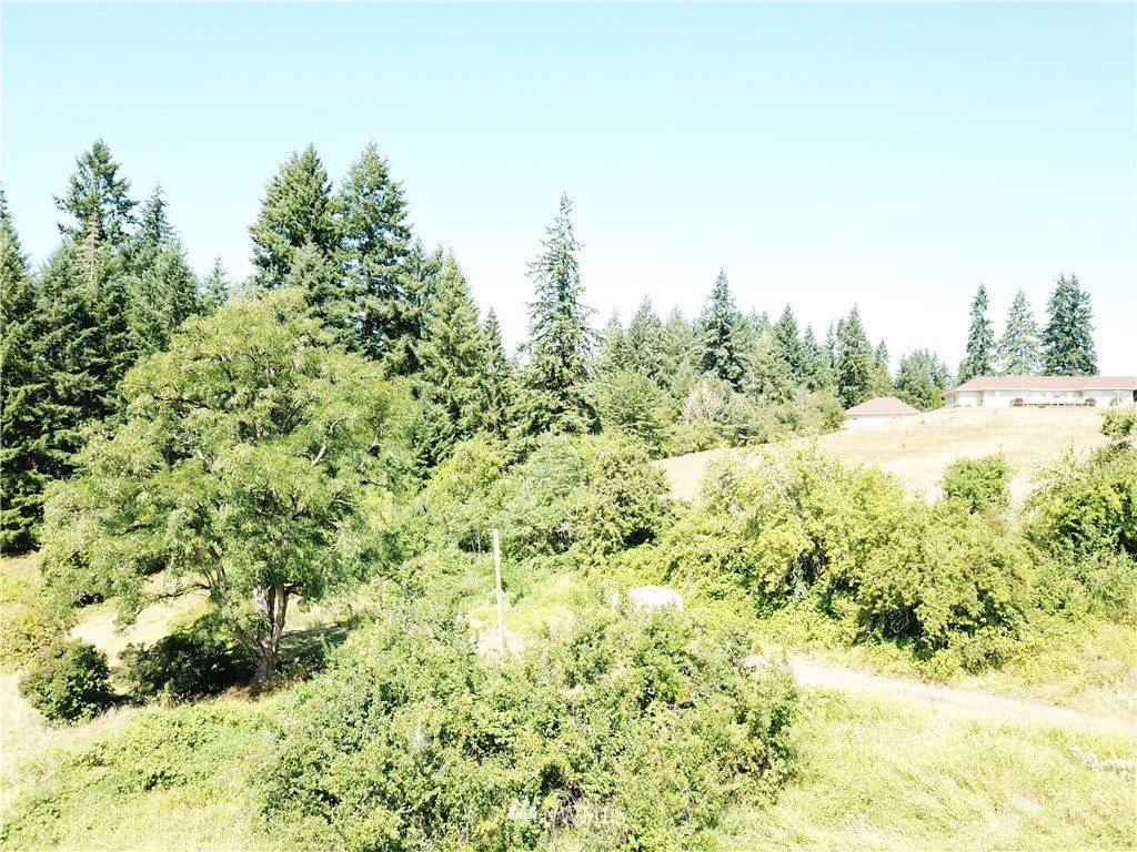 229 Taylor Road South Chehalis, WA 98532 - Photo 11 of 16 a view of a large yard with lots of green space