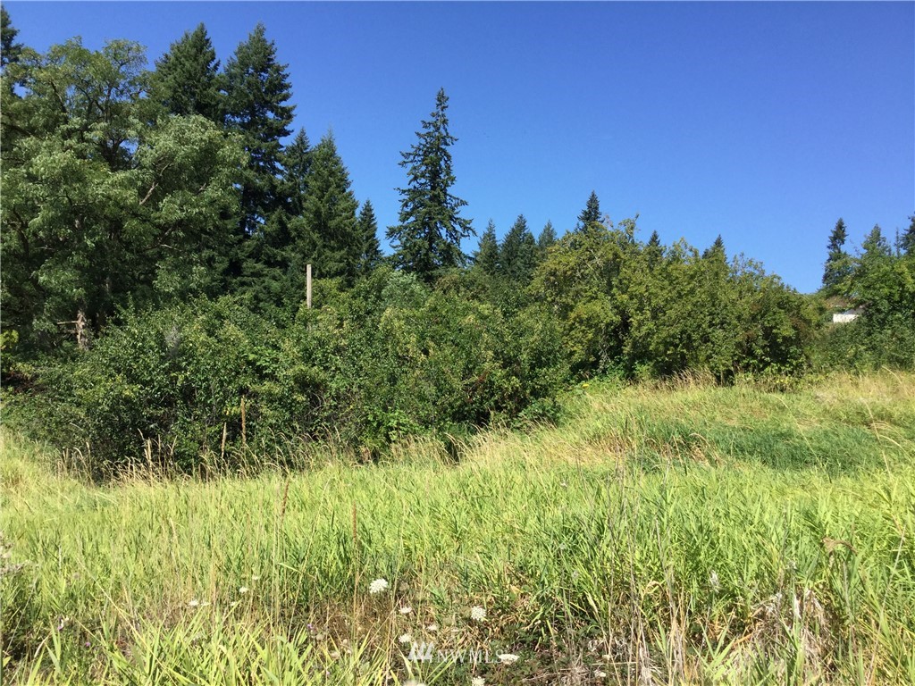 229 Taylor Road South Chehalis, WA 98532 - Photo 12 of 16 a view of a lush green space