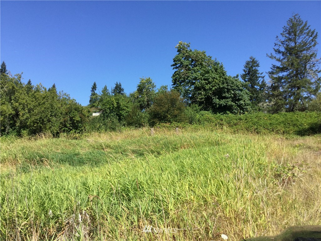 229 Taylor Road South Chehalis, WA 98532 - Photo 13 of 16 a view of a field of grass and trees