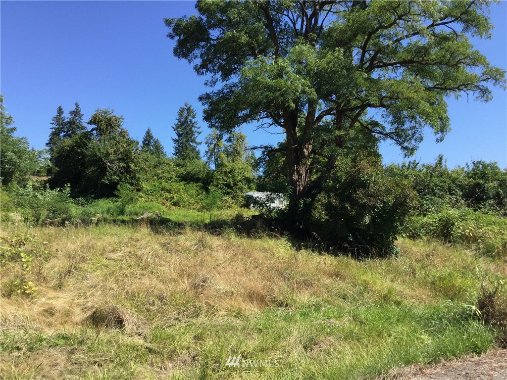 229 Taylor Road South Chehalis, WA 98532 - Photo 15 of 16 a view of a garden