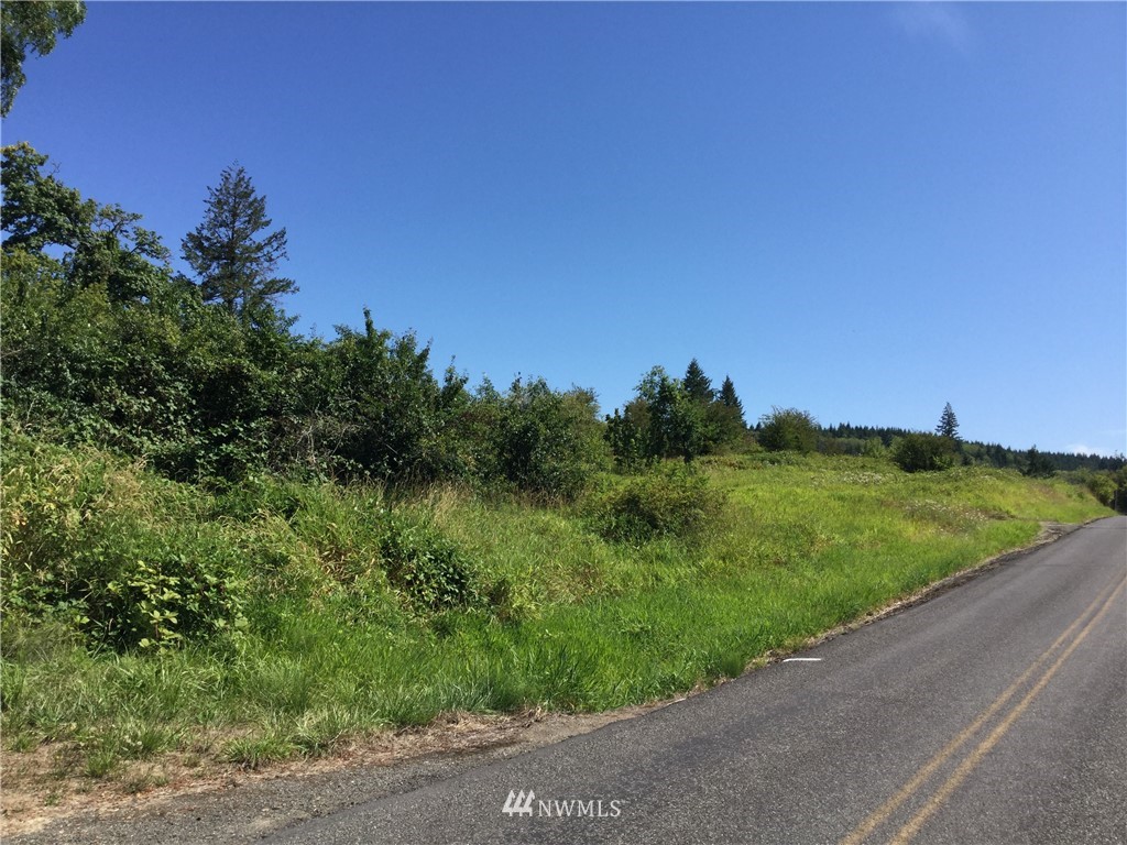 229 Taylor Road South Chehalis, WA 98532 - Photo 16 of 16 a view of a grassy field with trees