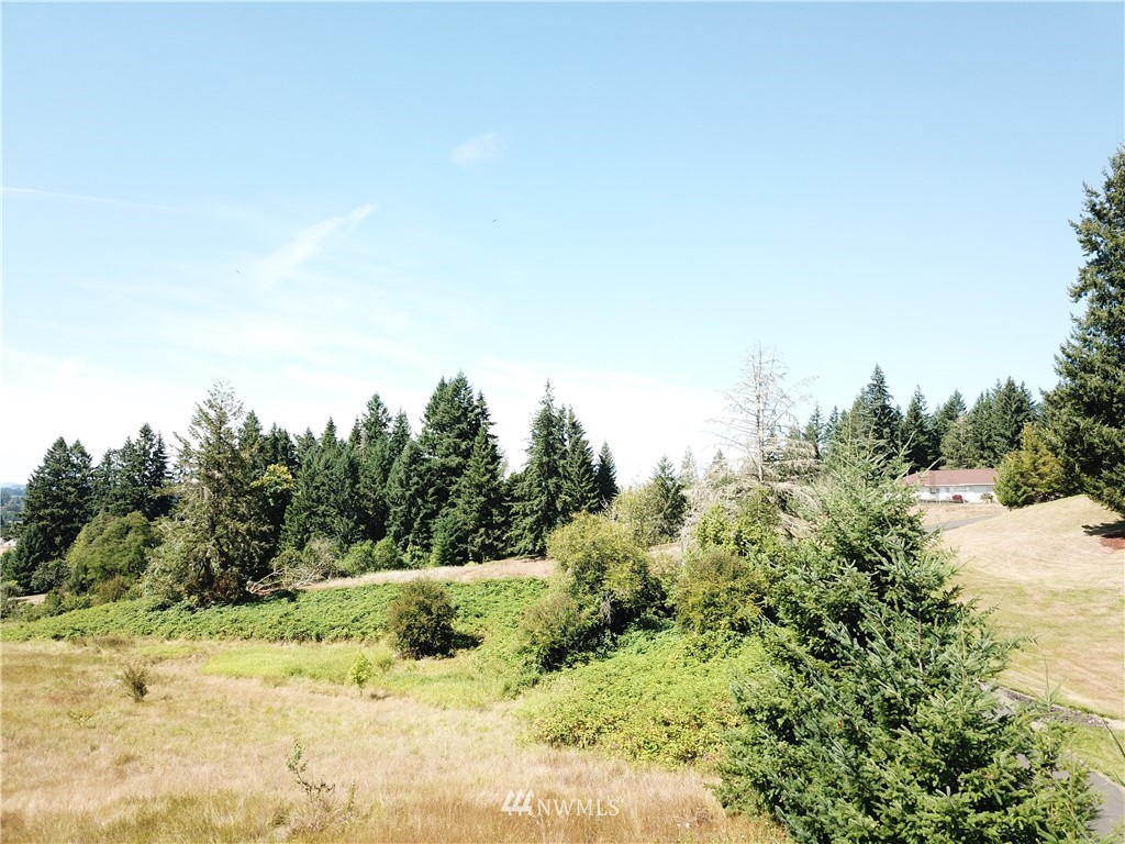 229 Taylor Road South Chehalis, WA 98532 - Photo 3 of 16 a view of a yard with a tree