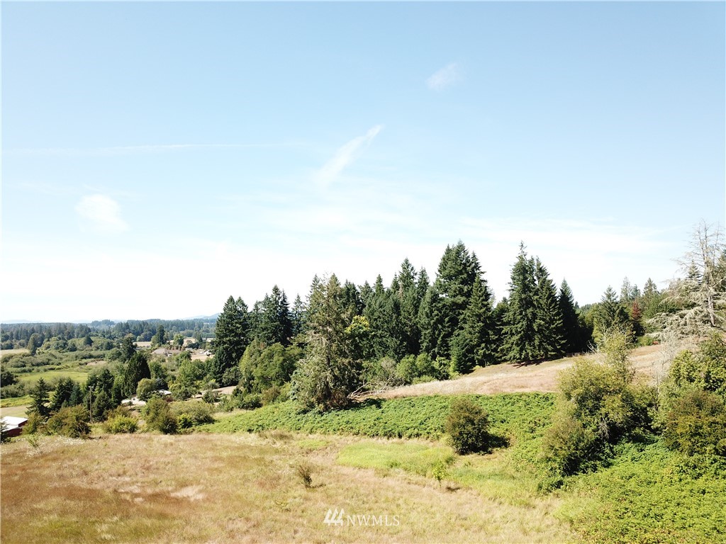 229 Taylor Road South Chehalis, WA 98532 - Photo 5 of 16 a view of a mountain view