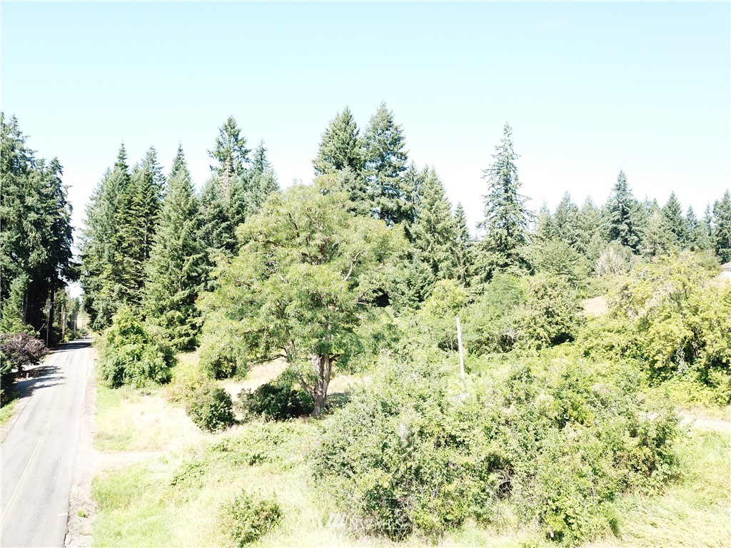 229 Taylor Road South Chehalis, WA 98532 - Photo 7 of 16 a view of a yard with a tree