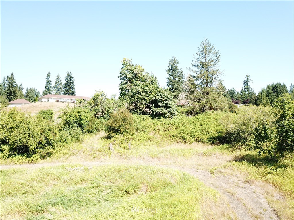 229 Taylor Road South Chehalis, WA 98532 - Photo 8 of 16 a view of a yard with a tree