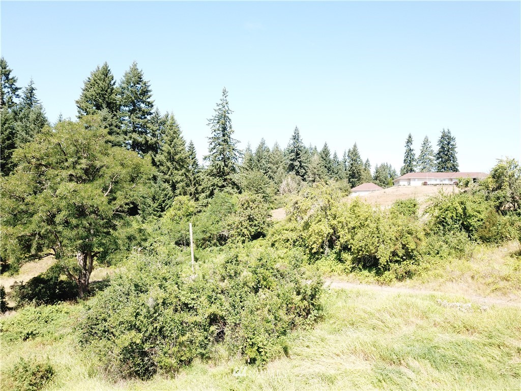 229 Taylor Road South Chehalis, WA 98532 - Photo 9 of 16 a view of a large yard with lots of green space