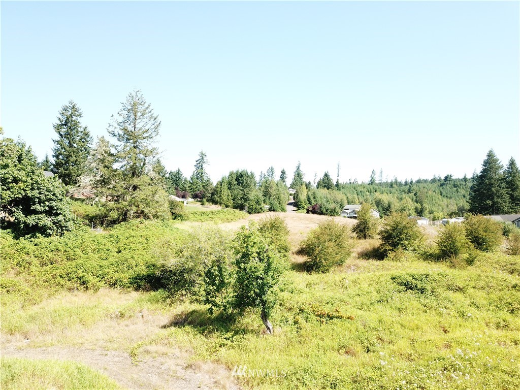 229 Taylor Road South Chehalis, WA 98532 - Photo 10 of 16 a view of a large green field with lots of trees in the background