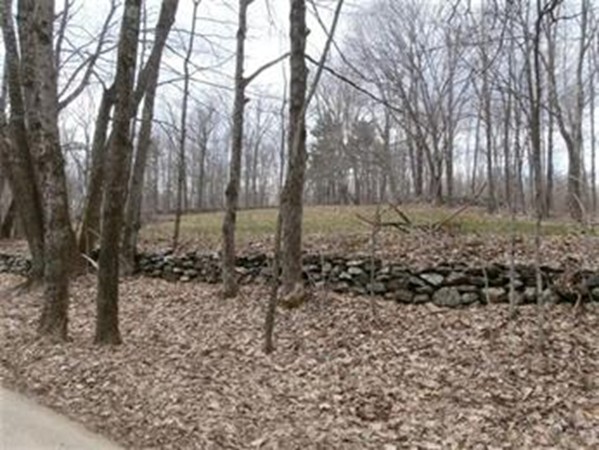 Lot 171 Rutherford Road Oakham, MA 01068 - Photo 6 of 9 Gallery Image 6