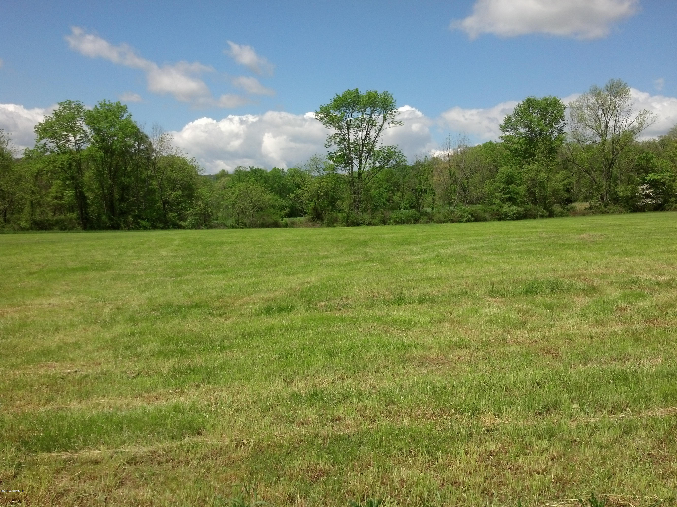 Lot No Lot Road Paxinos, PA 17860 - Photo 3 of 7 Gallery Image 3
