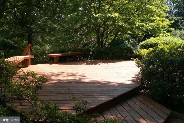 14621 Peach Orchard Road Silver Spring, MD 20905 - Photo 2 of 15 Deck