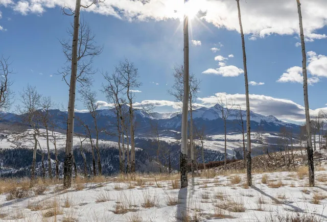 a view of a city from a fountain