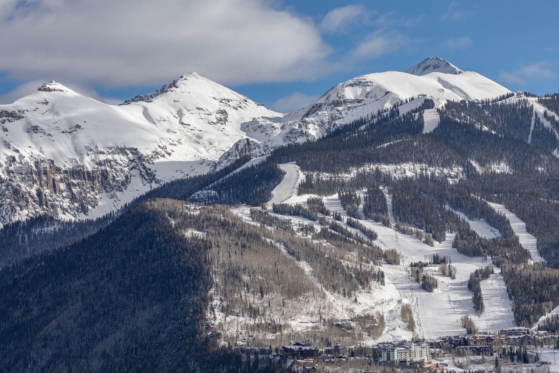 Tbd Basque Boulevard Telluride, CO 81435 - Photo 13 of 25 a close up of a vase of white flowers