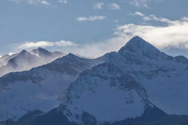a view of a dry yard