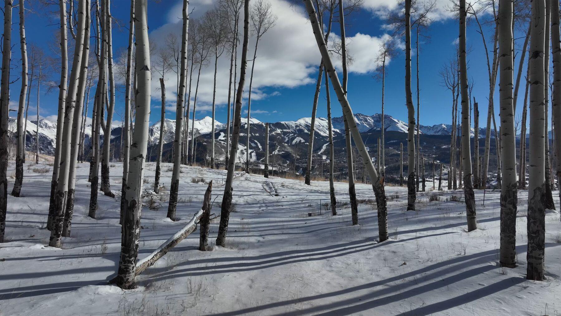 Tbd Basque Boulevard Telluride, CO 81435 - Photo 22 of 25