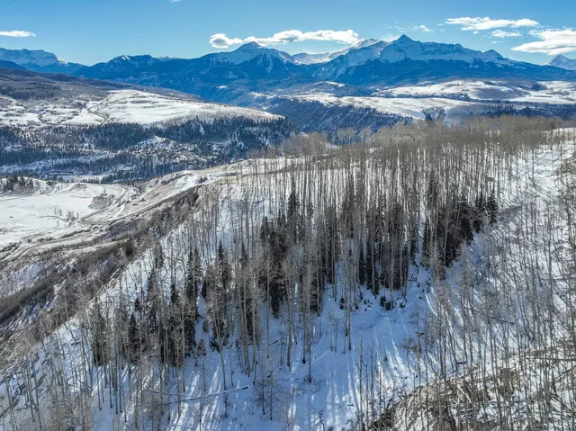 a view of a backyard of the house