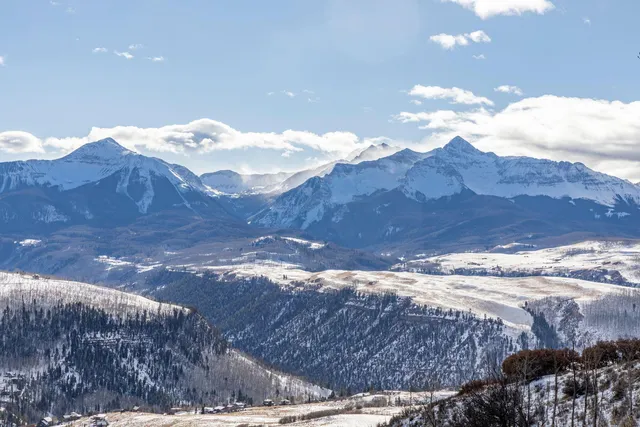 a view of a dry yard