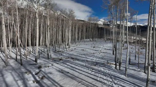 a view of a pathway of a house