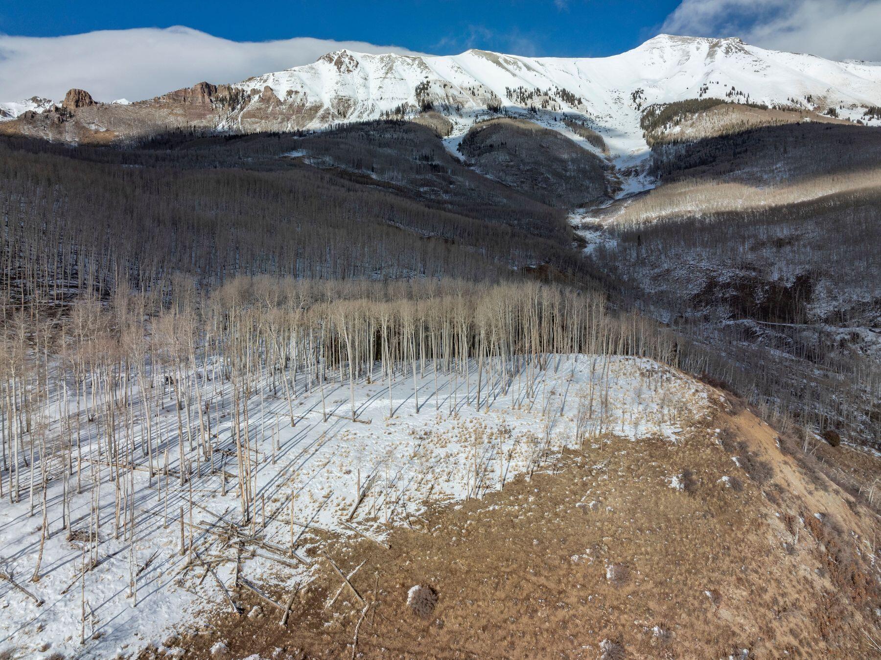 Tbd Basque Boulevard Telluride, CO 81435 - Photo 10 of 25 a view of bed and with clothes