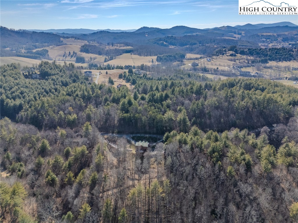 Shawnee Trail Jefferson, NC 28640 - Photo 12 of 24 an aerial view of green landscape with trees houses and mountain view
