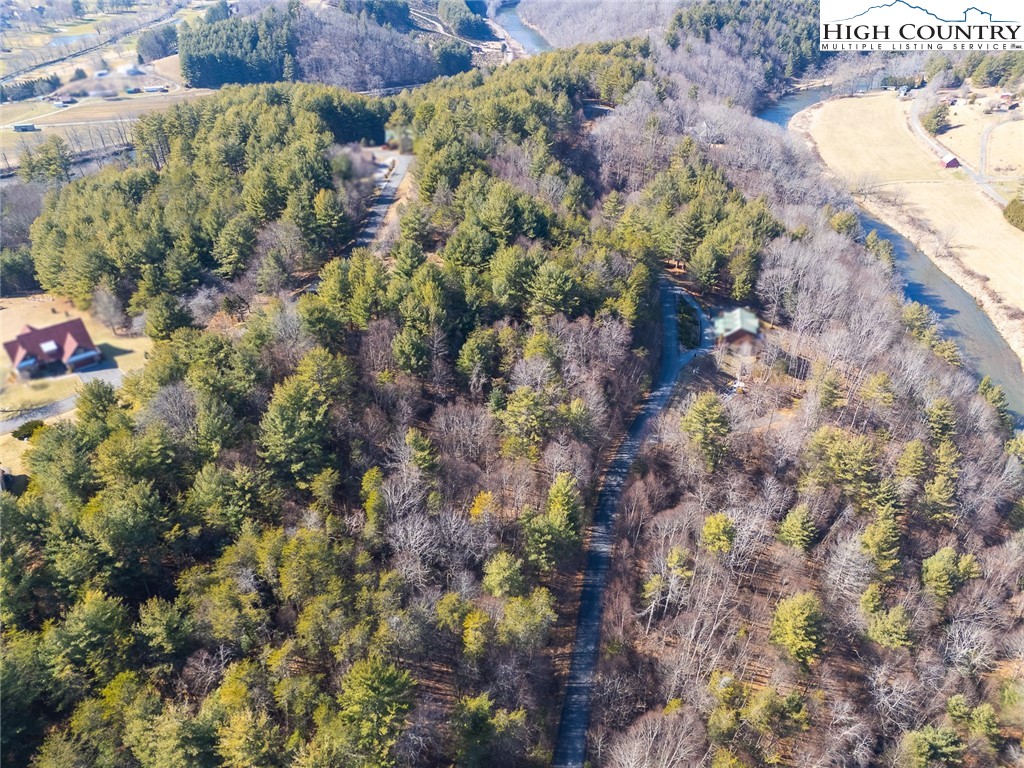 Shawnee Trail Jefferson, NC 28640 - Photo 19 of 24 a view of a yard with plants