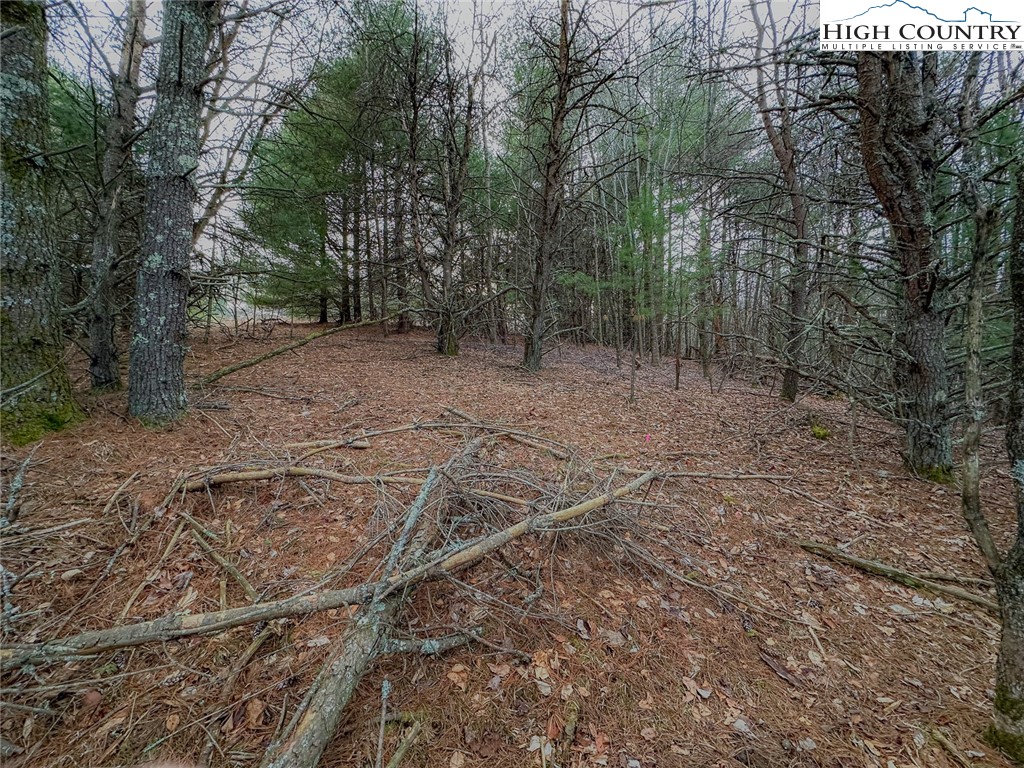 Shawnee Trail Jefferson, NC 28640 - Photo 20 of 24 a view of a yard with trees