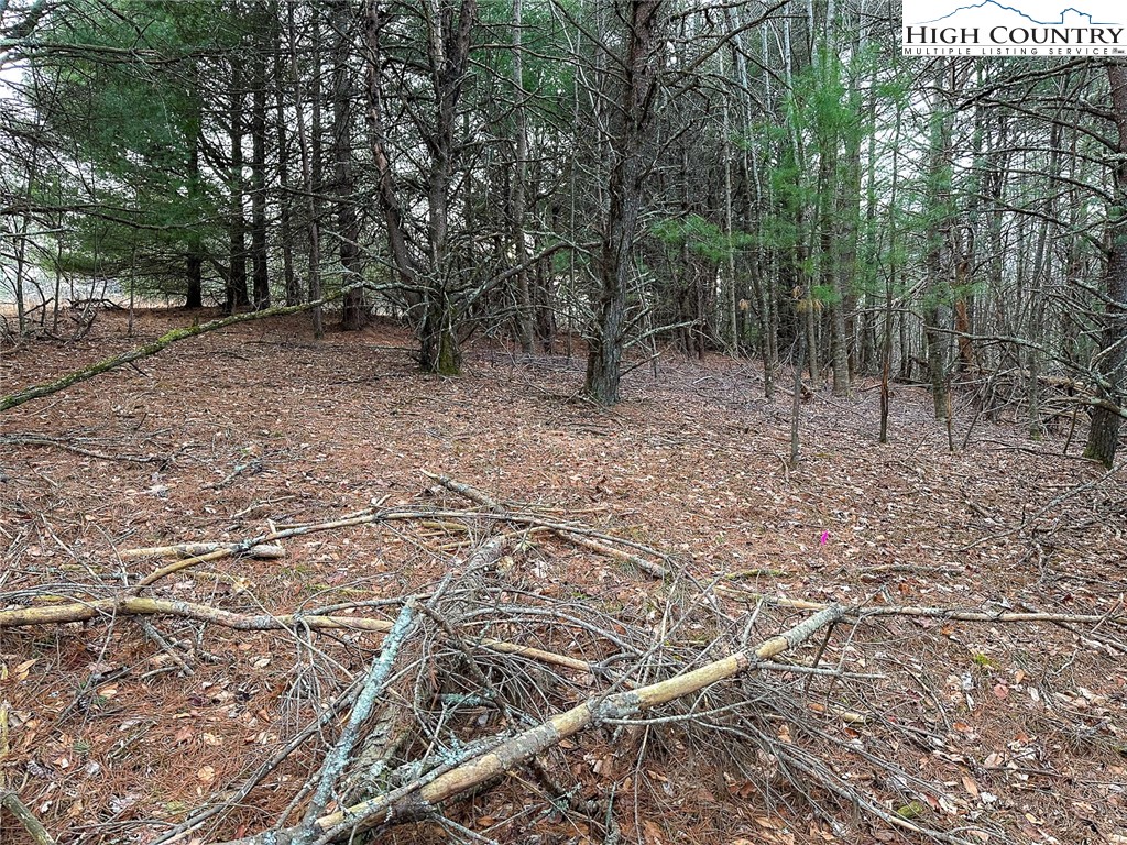 Shawnee Trail Jefferson, NC 28640 - Photo 21 of 24 a view of an outdoor space with trees