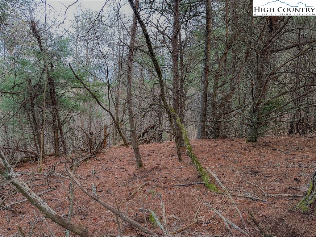 Shawnee Trail Jefferson, NC 28640 - Photo 23 of 24 a view of empty space with trees