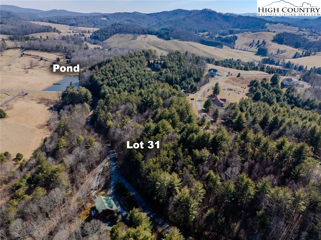 Shawnee Trail Jefferson, NC 28640 - Photo 5 of 24 an aerial view of green landscape with trees