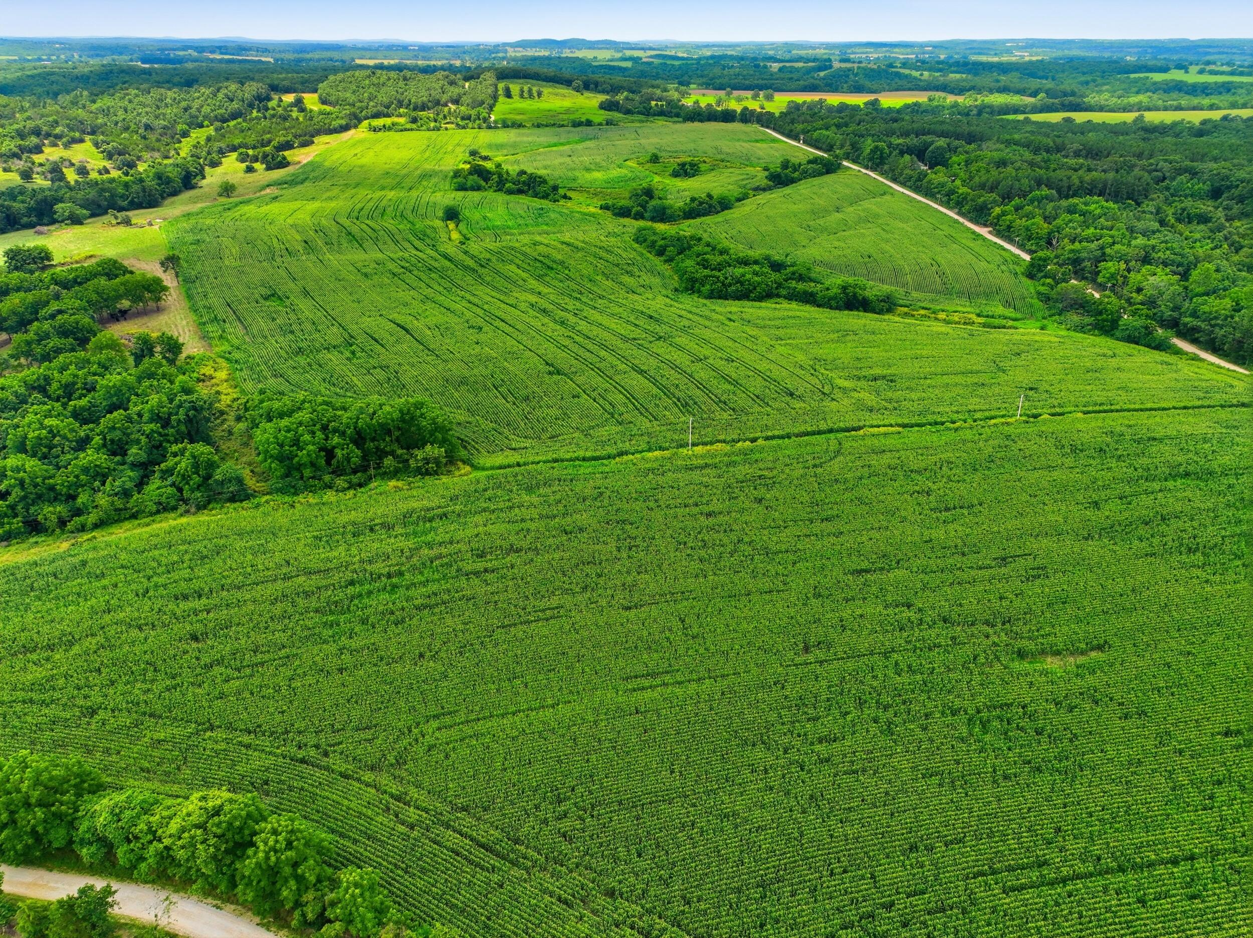 0 Gravel Point Road, Unit 2 Mountain Grove, MO 65711 - Photo 12 of 30 dji_0107