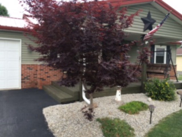 2541 Larue-Prospect Road South Marion, OH 43302 - Photo 8 of 22