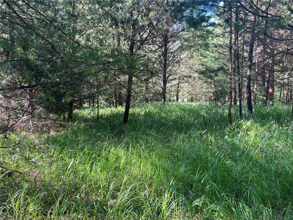 112 Links View Court Sunset, SC 29685 - Photo 8 of 9 A secluded, treed parcel with lush ground cover offers a tranquil natural setting.