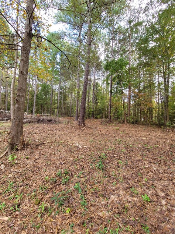328 Drake Circle Iva, SC 29655 - Photo 8 of 46