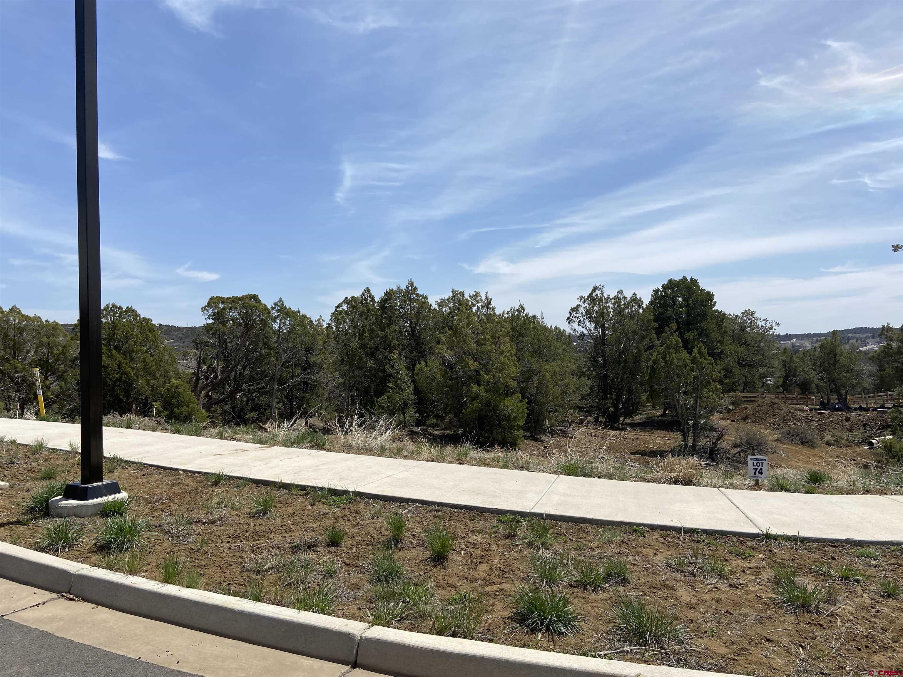 46 Yarrow Court Durango, CO 81301 - Photo 2 of 13 a view of a swimming pool with a yard