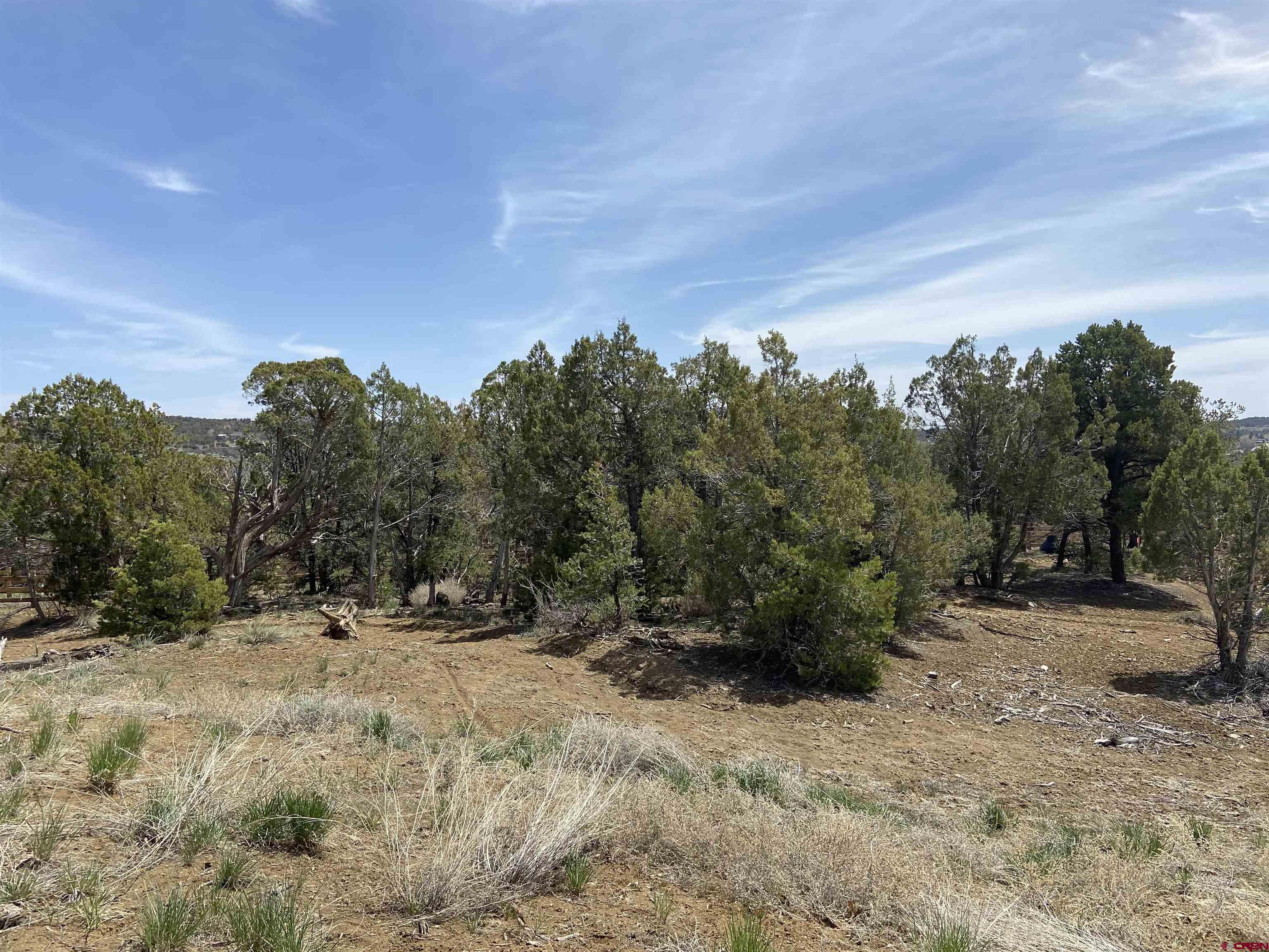 46 Yarrow Court Durango, CO 81301 - Photo 3 of 13 a view of outdoor space with green field and trees
