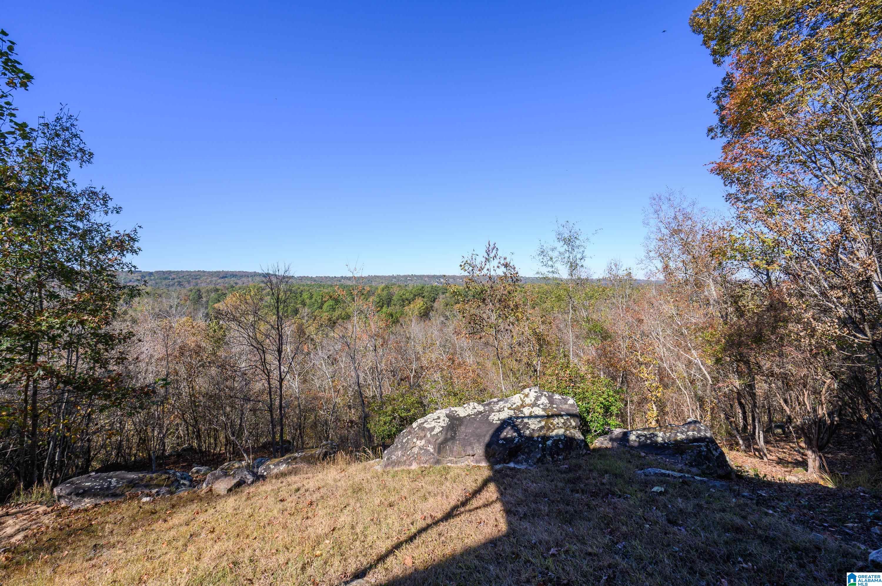 456 Conroy Circle Sterrett, AL 35147 - Photo 60 of 81