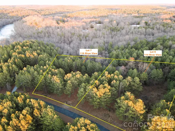 a view of a lake with a tree in the background