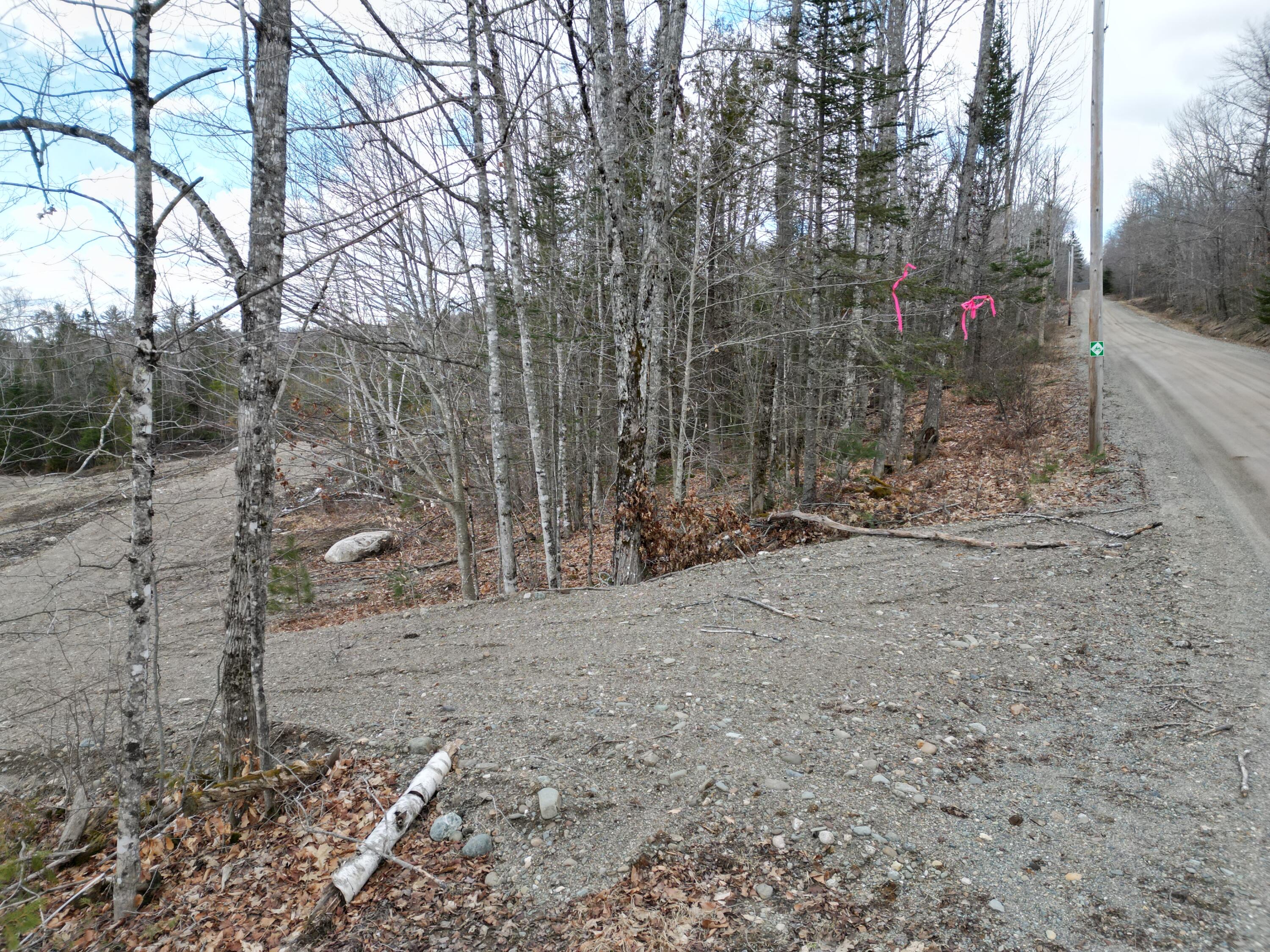 Lot 2 Arab Road Lee, ME 04455 - Photo 1 of 13 DJI_0903