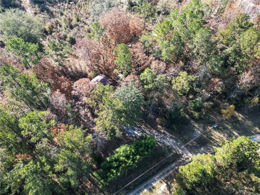 286 Carter Bight Landing Road Surrency, GA 31563 - Photo 28 of 35 Photo 28