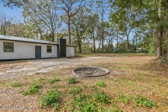 a view of a backyard with plants and trees