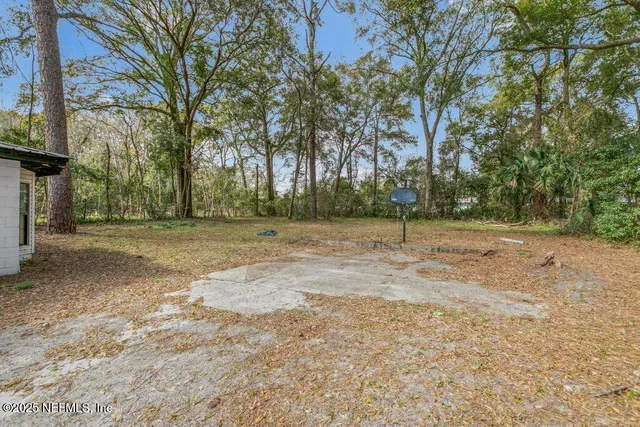 a ground with lots of tall trees